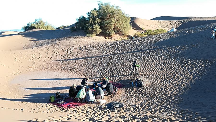 Desert Marocain : Une nuit dromadaire dans desert Maroc sud Marocain 