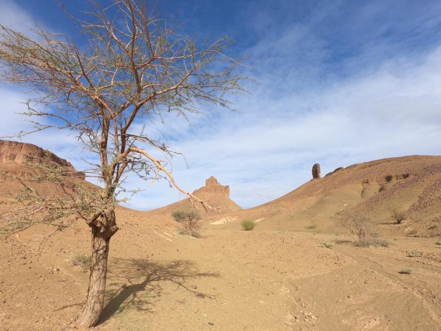 Desert Marocain : Circuit 7 jours depart de Agadir pour le desert marocain