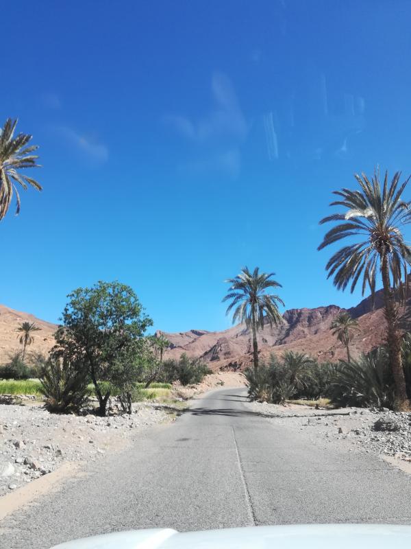 Desert Marocain : Circuit desert depart de Marrakech 4 jours.