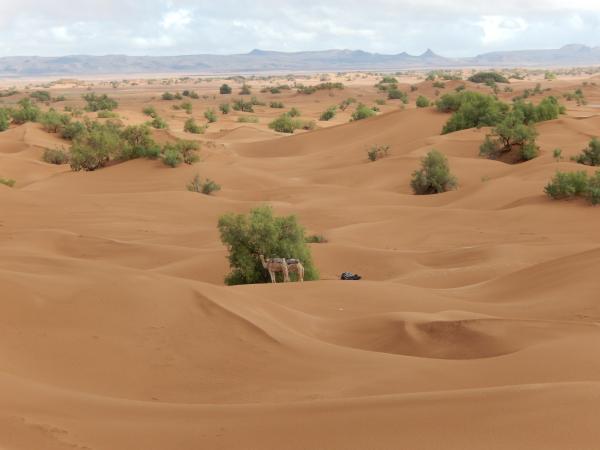 excursion desert Maroc