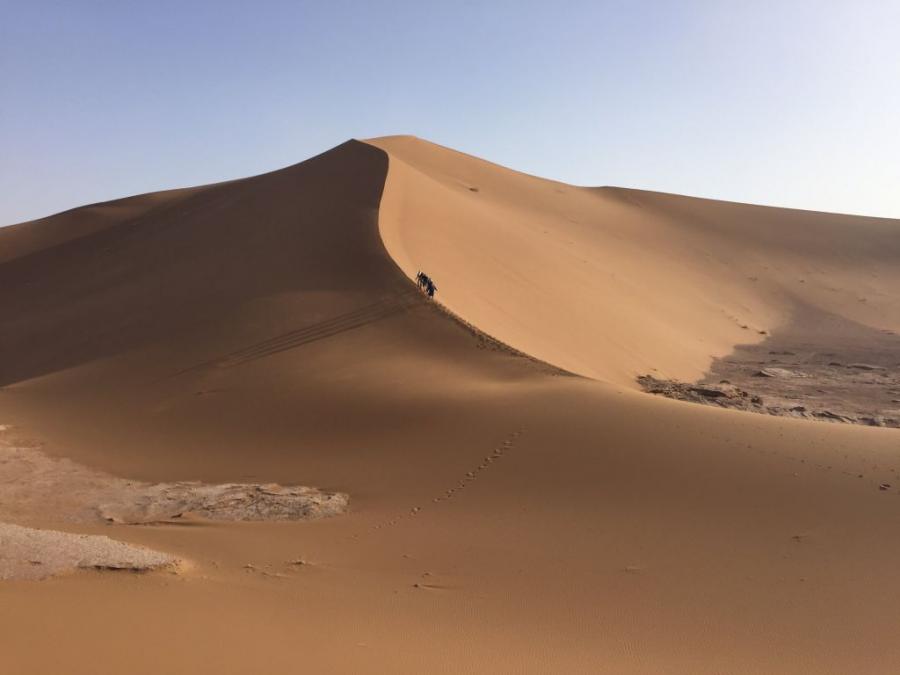 Desert Marocain : Accueil