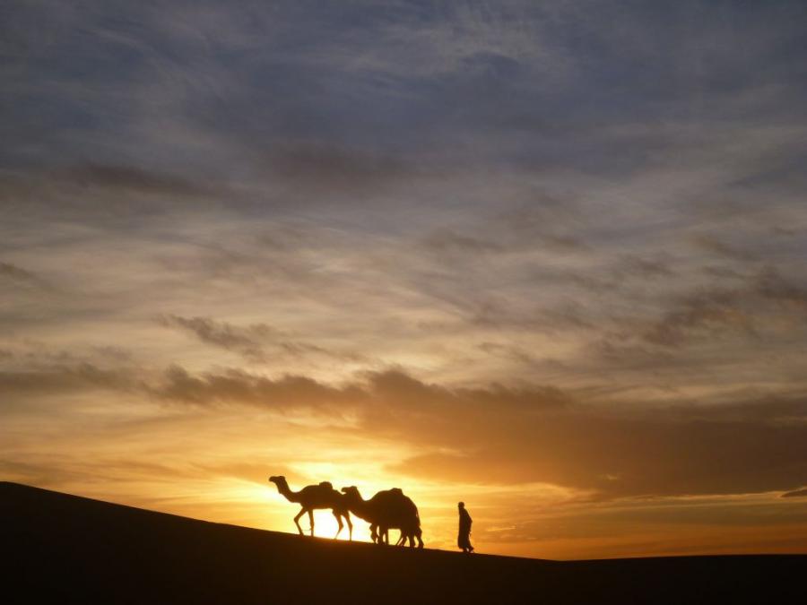 Desert Marocain : Accueil