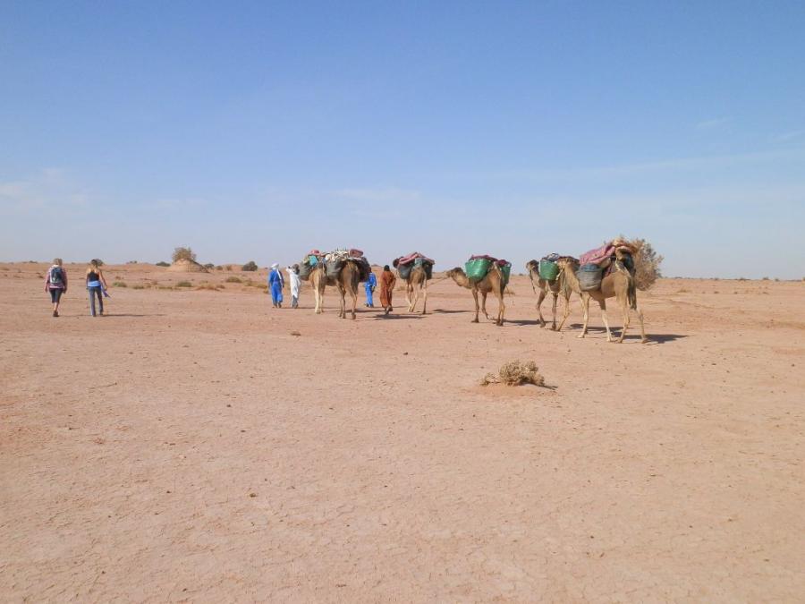 Desert Marocain : Accueil