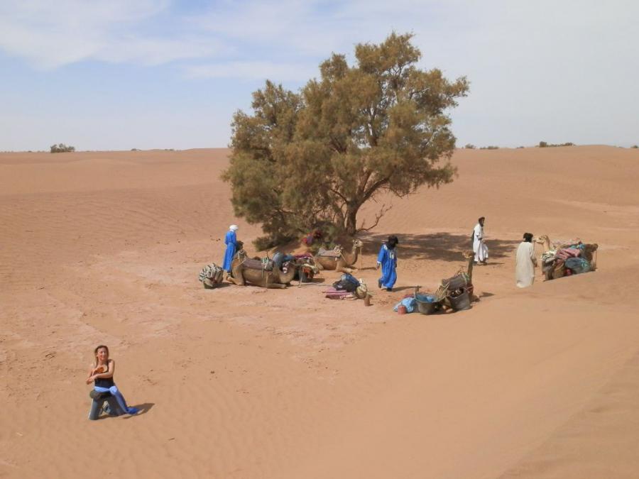 Desert Marocain : Accueil