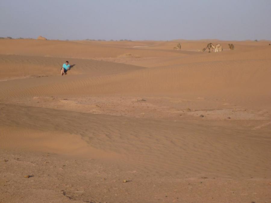 Desert Marocain : Accueil