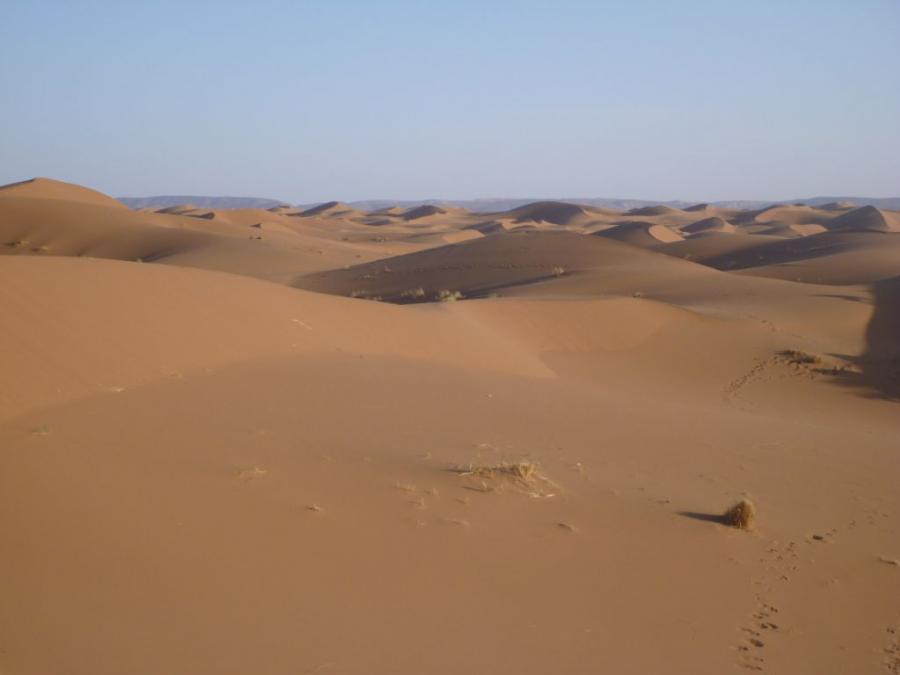 Desert Marocain : Accueil