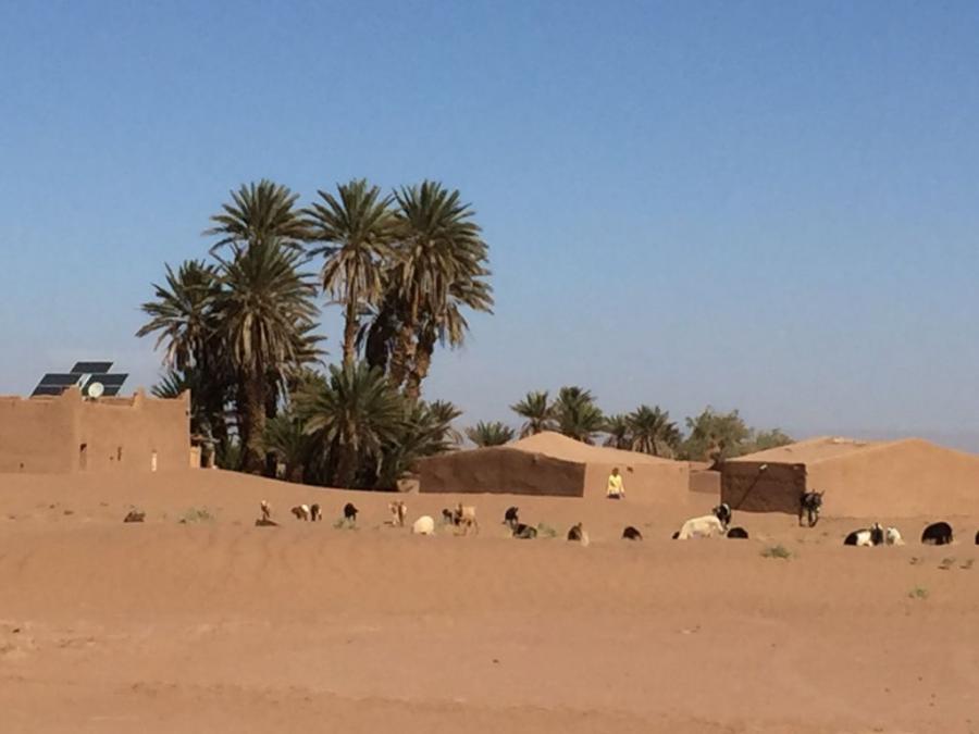 Desert Marocain : Accueil