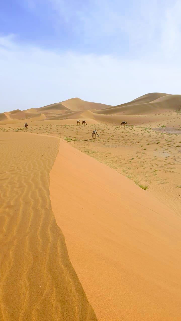 Desert Marocain : Randonnee 8 jours dans le desert marocain