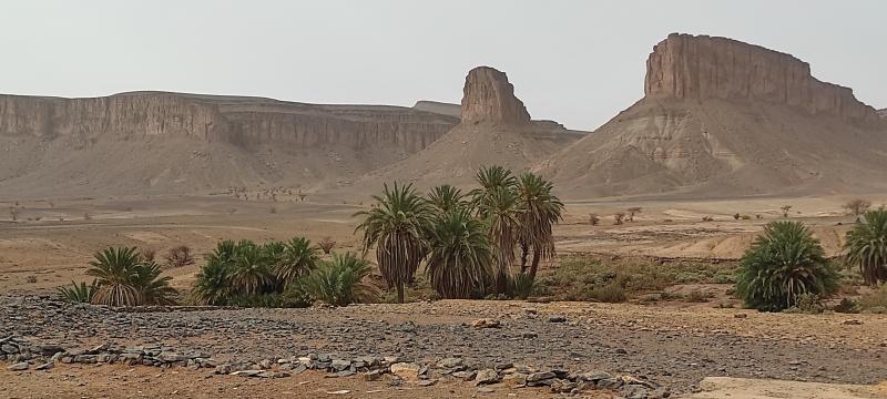 Desert Marocain : Circuit 3 jours  desert Maroc depart Agadir