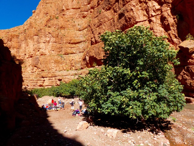 Desert Marocain : Accueil