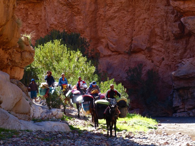 Desert Marocain : Accueil