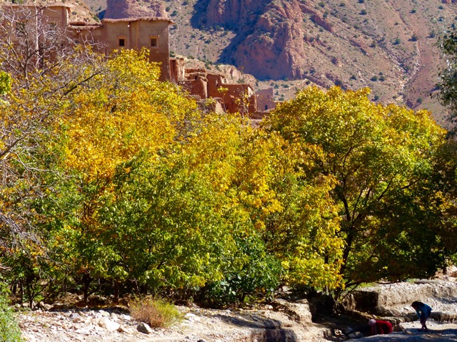 Desert Marocain : Accueil