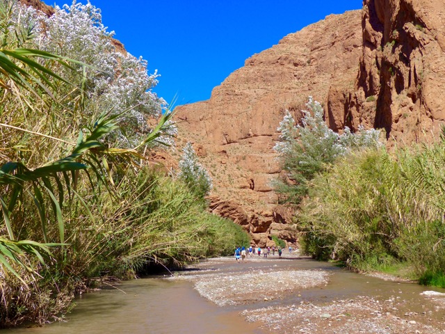 Desert Marocain : Accueil