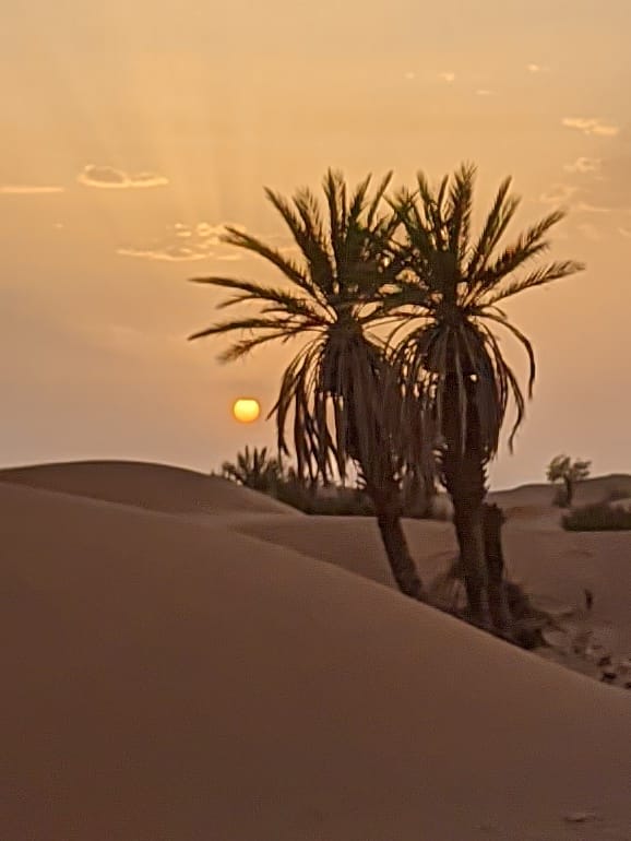 Desert Marocain : Circuit dans desert marzouga Maroc