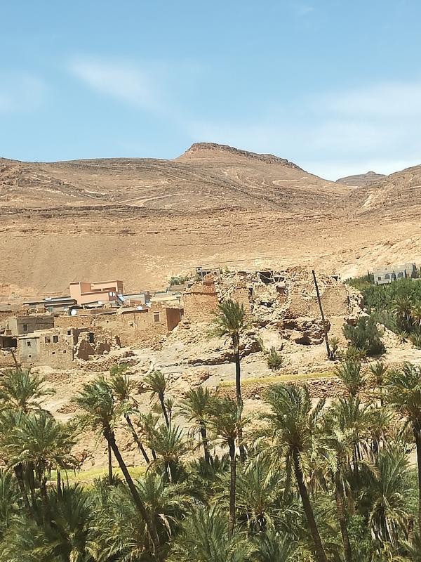 Desert Marocain : Accueil