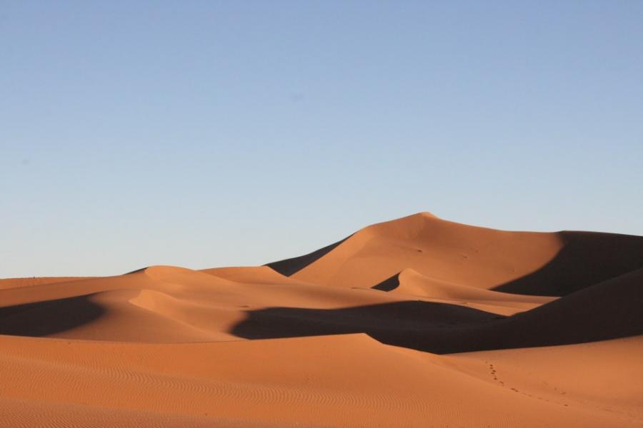 Desert Marocain : Accueil