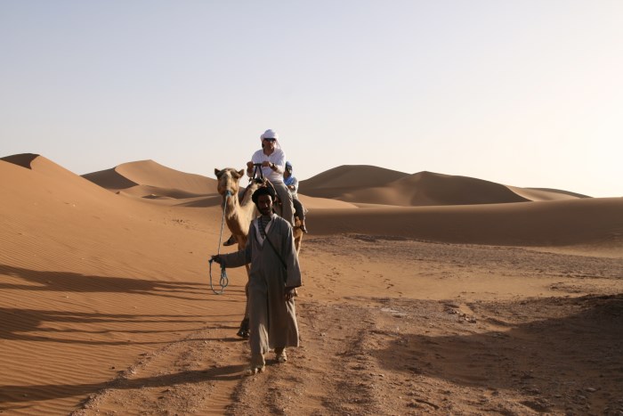 Desert Marocain : Une nuit dromadaire dans desert Maroc sud Marocain 