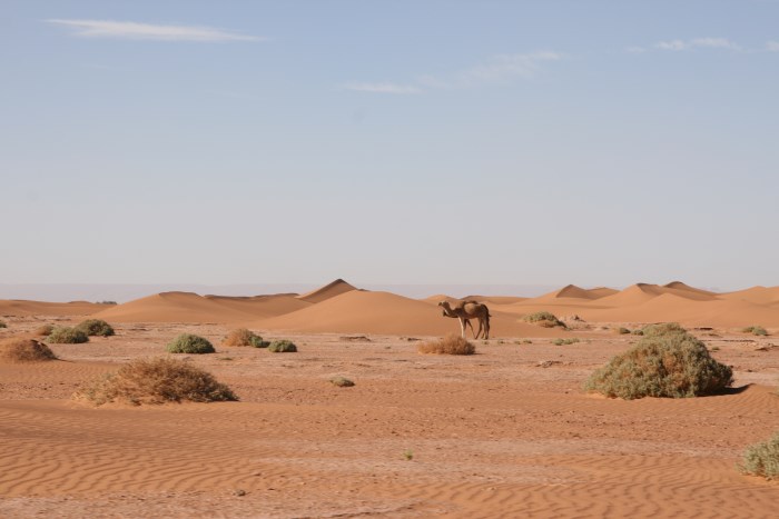 Desert Marocain : Climat desert Maroc