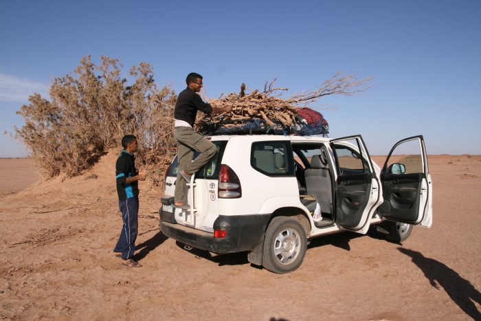 Desert Marocain : Guide pour le désert marocain