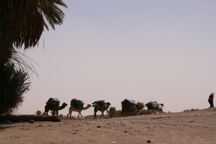 Desert Marocain :  une nuit à Erg Chigaga - Excursion Erg Chigaga desert Maroc