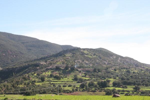 Desert Marocain : Photos