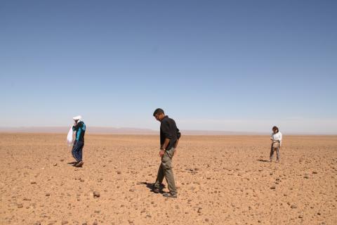 Desert Marocain : Photos