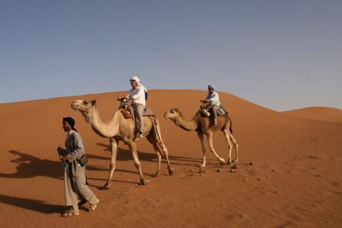 Desert Marocain : Photos