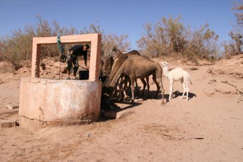 Desert Marocain :  une nuit à Erg Chigaga - Excursion Erg Chigaga desert Maroc