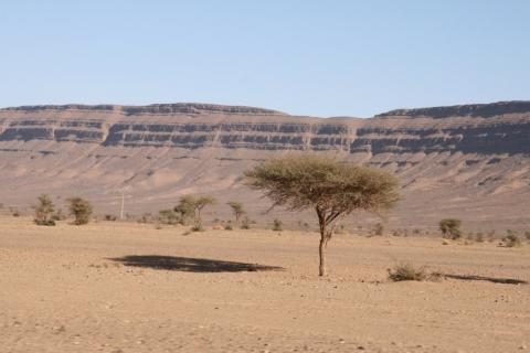 Desert Marocain :  une nuit à Erg Chigaga - Excursion Erg Chigaga desert Maroc