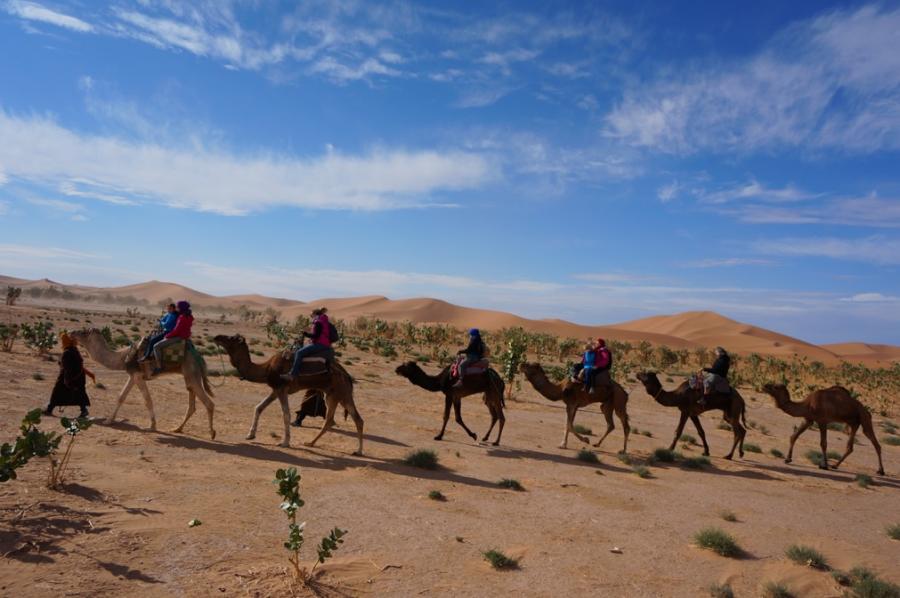 Desert Marocain : Accueil