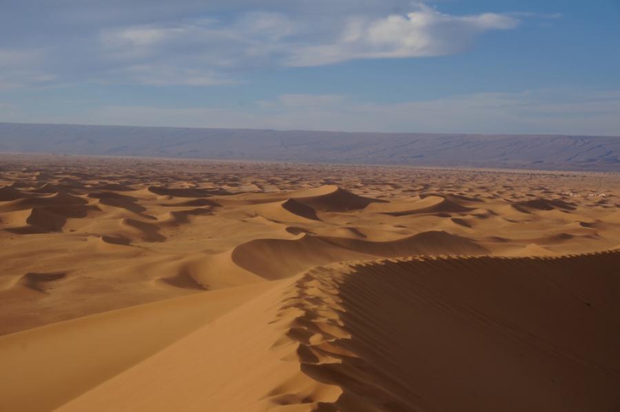 Desert Marocain : Accueil