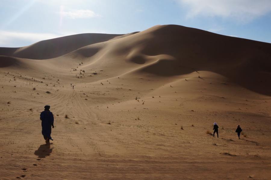 Desert Marocain : Accueil