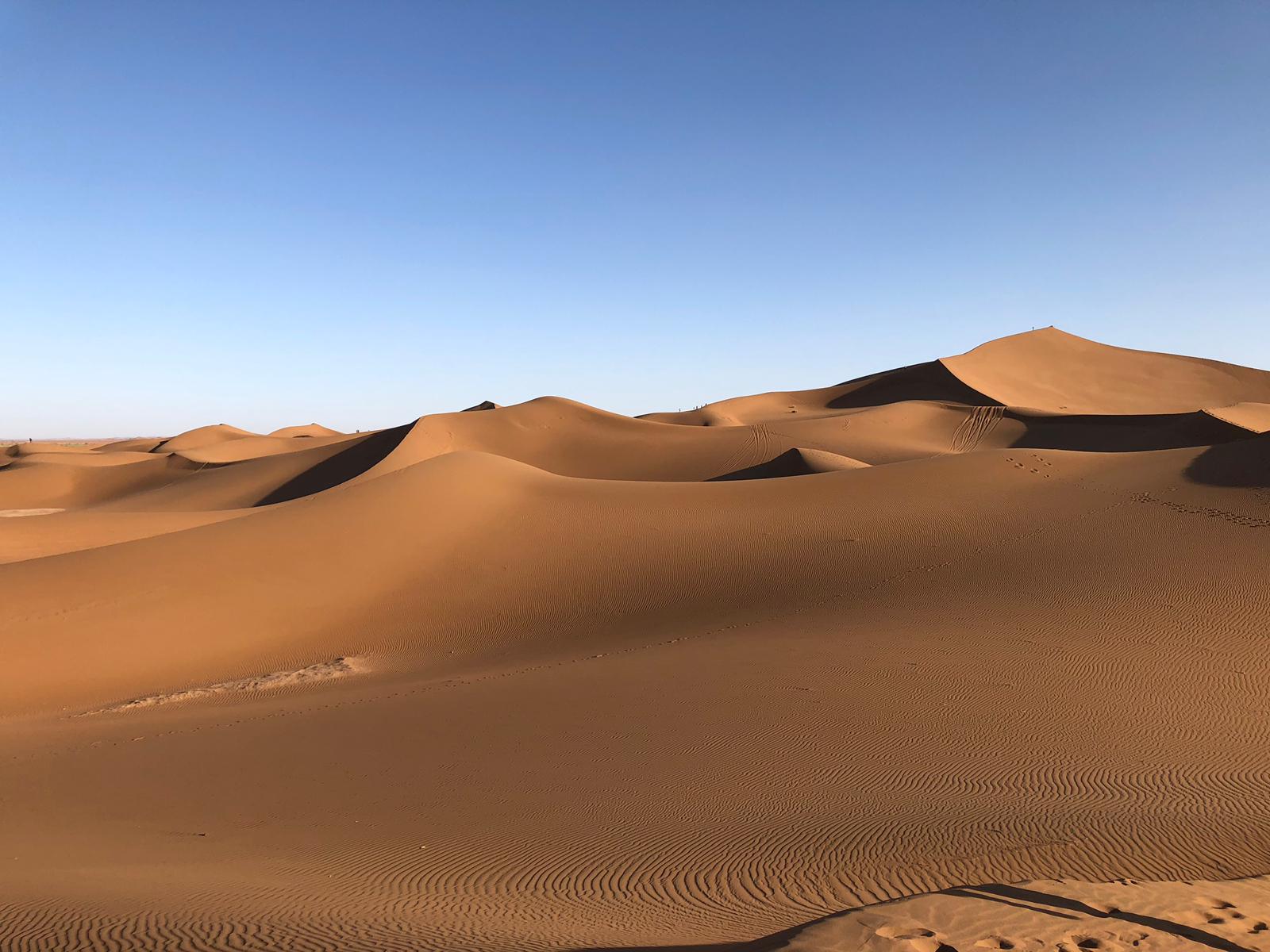 Desert Marocain : 4 Jours et 3 nuits d?sert Ouarzazate Vallee des roses et vallee du draa Desert