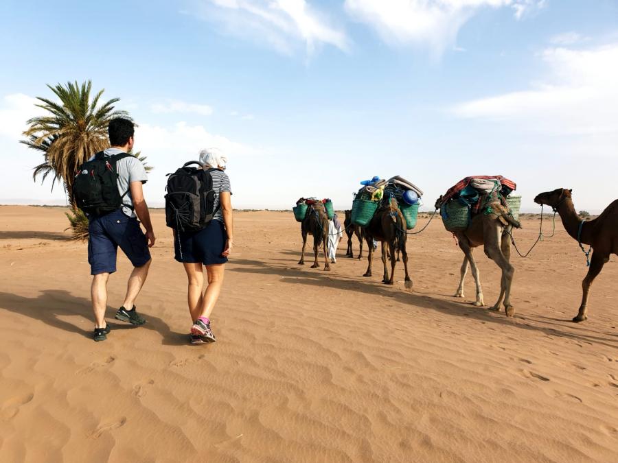 Desert Marocain : Une nuit dromadaire dans desert Maroc sud Marocain 