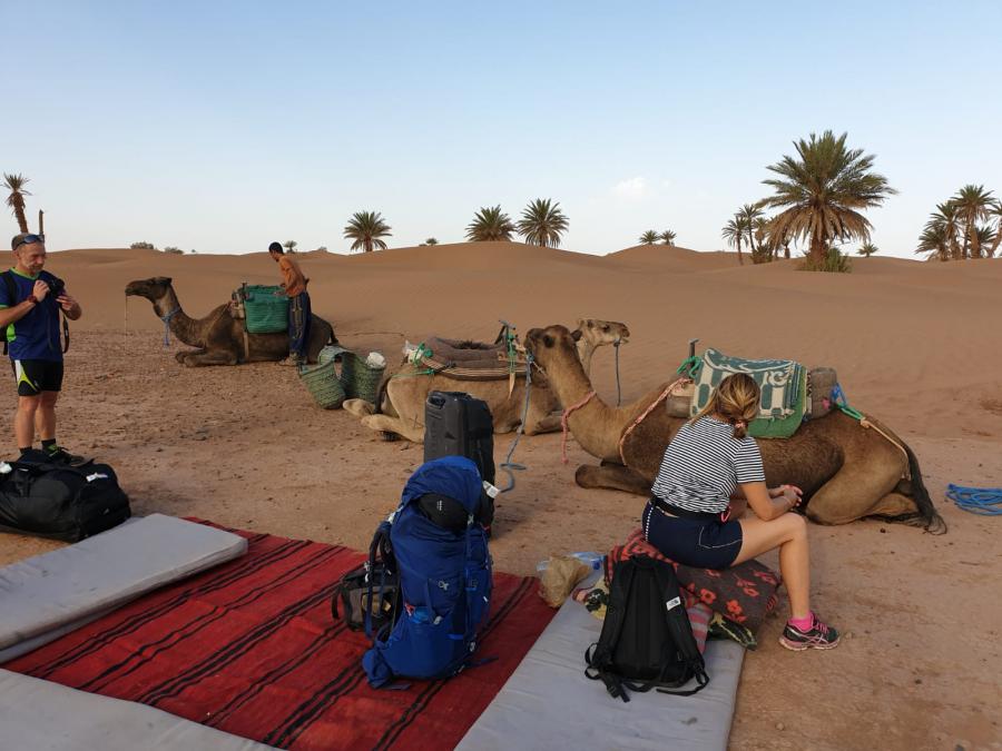 Desert Marocain : Une nuit dromadaire dans desert Maroc sud Marocain 