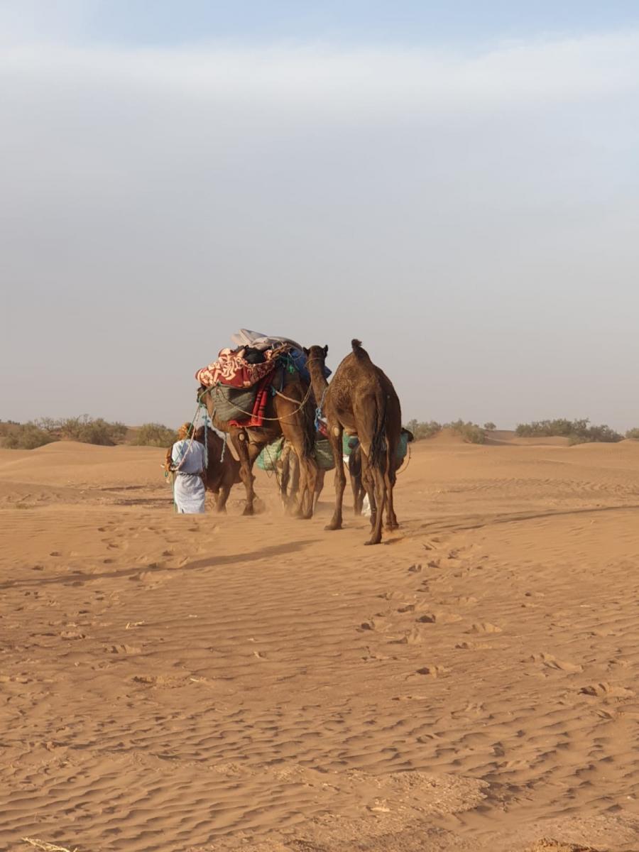 Desert Marocain : Voyage dans le desert en dromadaire et 4x4 3 jours dans desert