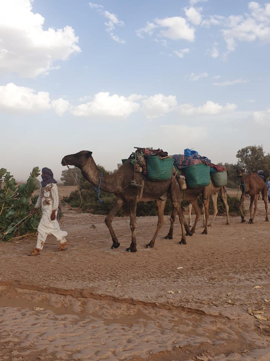 Desert Marocain : Voyage dans le desert en dromadaire et 4x4 3 jours dans desert