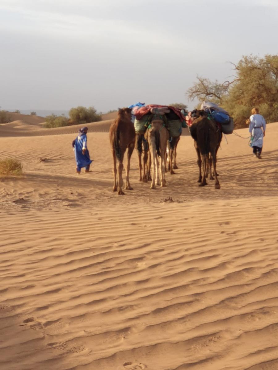 Desert Marocain : Randonnee la grand traverse du desert  Erg Chegaga 