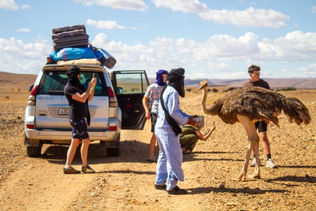 Desert Marocain : Une nuit dromadaire dans desert Maroc sud Marocain 