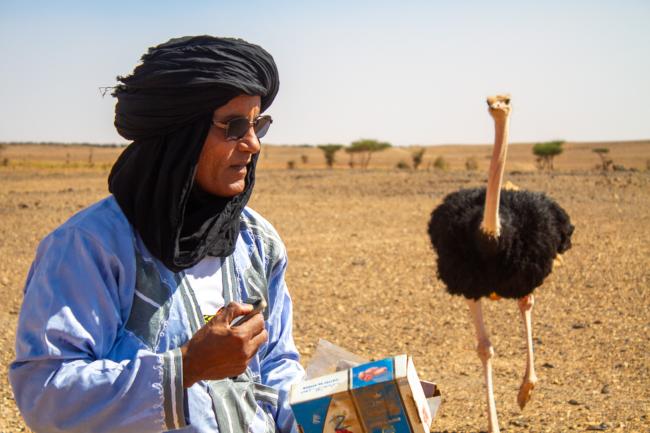 Desert Marocain : Une nuit dromadaire dans desert Maroc sud Marocain 