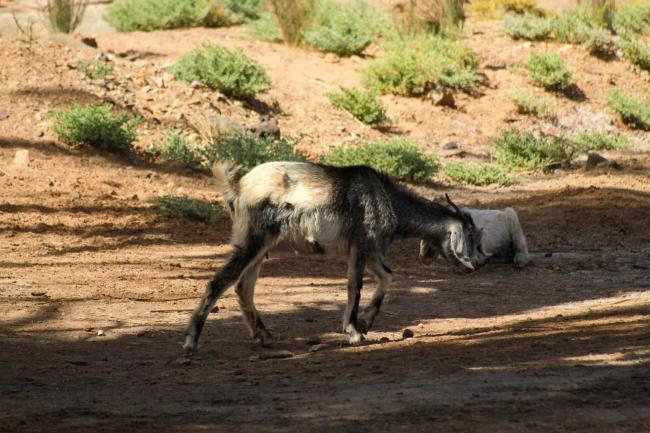 Desert Marocain : Conseil Trek Sahara Maroc
