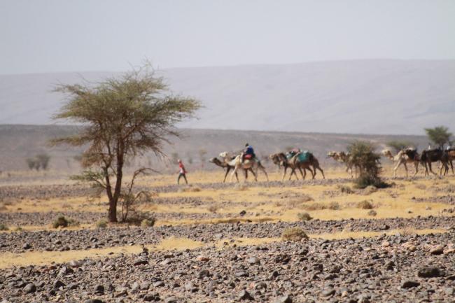 Desert Marocain : Conseil Trek Sahara Maroc
