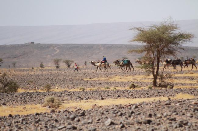 Desert Marocain : Conseil Trek Sahara Maroc