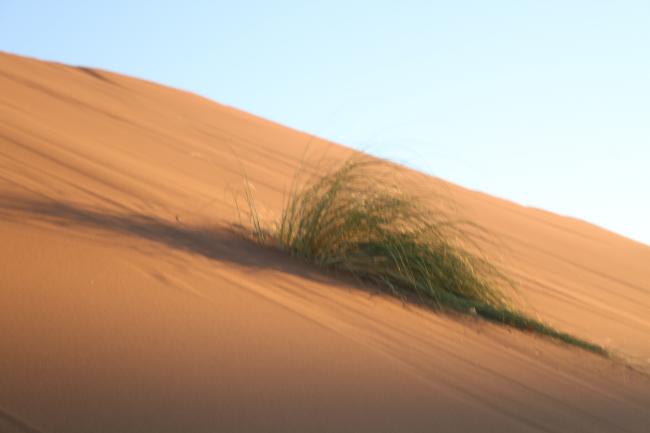 Desert Marocain : Conseil Trek Sahara Maroc