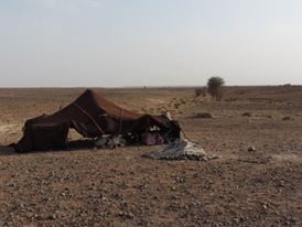 Desert Marocain : Voyage dans le desert en dromadaire et 4x4 3 jours dans desert