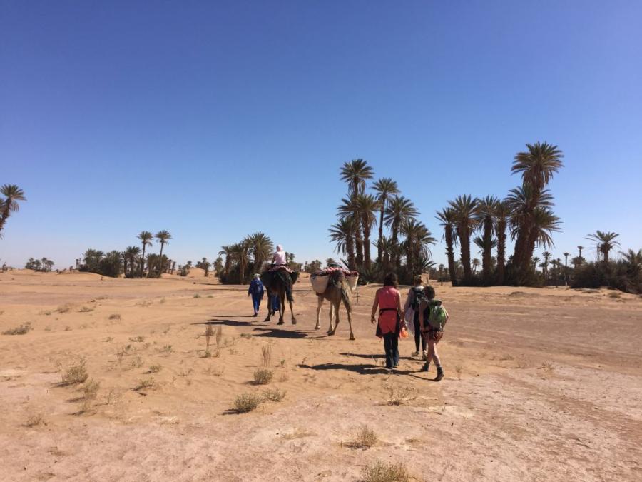 Desert Marocain : Accueil